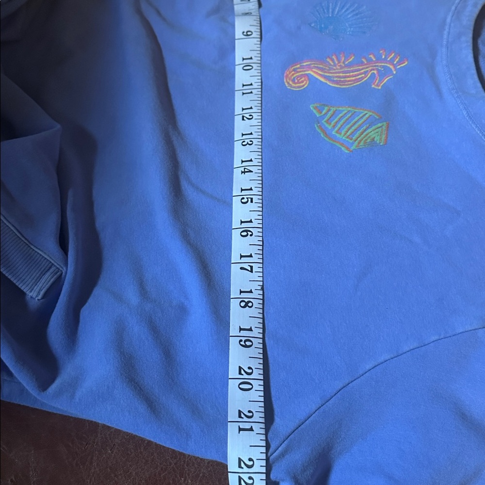 XL/XXL Stretchy Fresh Produce Blue Distressed Sweatshirt. Runs small ! - Picture 14 of 15